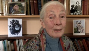 Jane Goodall en la URL:  «»think globally, act locally» es el camino equivocado, porque pensar globalmente causa depresión»