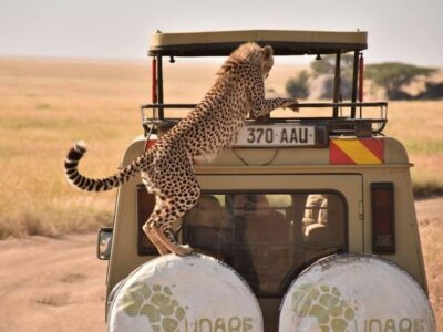 UDARE, safaris por África, Trekkings y viajes de aventura