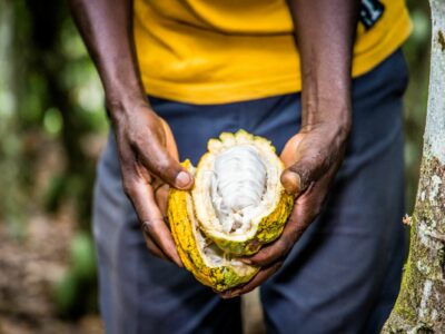 Oikocredit apuesta por la inclusión financiera para preservar el futuro del cacao