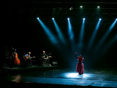 El Comité de Iniciativa ‘Andalucía: Historia y Civilización’ concluye con éxito la ‘Noche Flamenca’