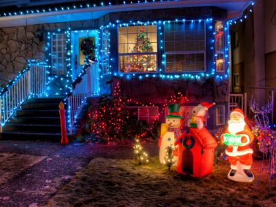 Rentokil Initial: ¿Pueden las luces de Navidad atraer a los insectos?