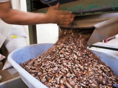 Paccari desvela mitos y leyendas sobre el chocolate