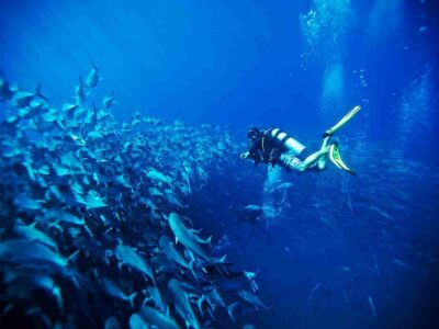 Respirar ‘lujo silencioso’ en Los Cabos: experiencias únicas, personalizadas y en armonía con la naturaleza