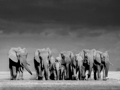 El español José Miguel Angulo Manso, gana el primer premio de los ‘International Photography Awards – 2024’