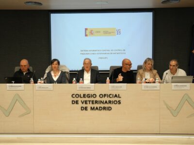 Entrada en vigor de la obligación de comunicar la prescripción de antibióticos a PRESVET para los animales de compañía