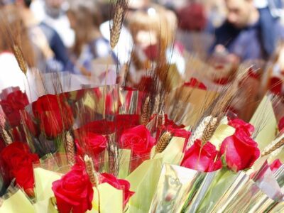 Este 2025 la venta de rosas superará los 7 millones de rosas en Sant Jordi según mayoristaderosas.com