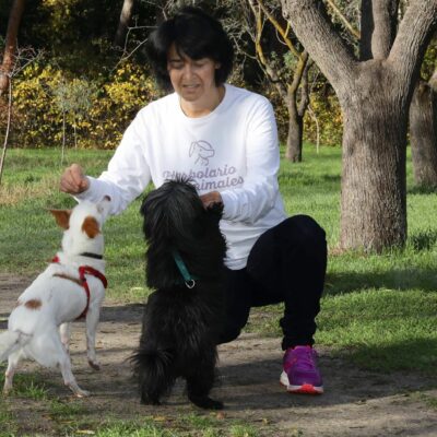Consejos para que perros y gatos disfruten de la primavera según Herbolario para animales