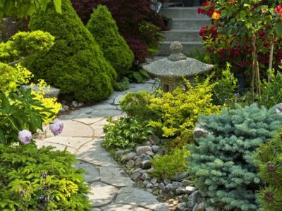 ¡Dale un cambio radical a tu jardín! Diseño, instalación y mantenimiento