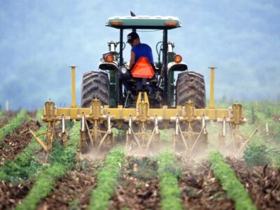Mascaró Agricultors optimiza la productividad agrícola en Lleida con servicios profesionales y sostenibles