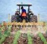 Mascaró Agricultors optimiza la productividad agrícola en Lleida con servicios profesionales y sostenibles