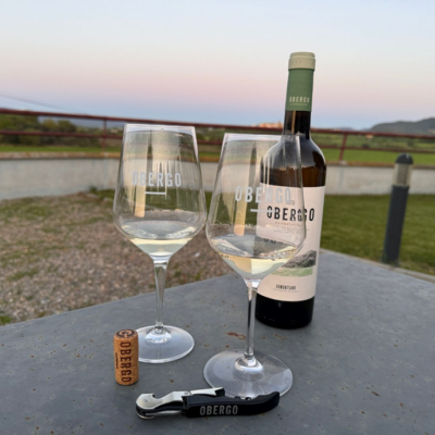 Bodegas Obergo participa en el Festival del Vino Somontano 2025 con nuevas propuestas y ediciones limitadas