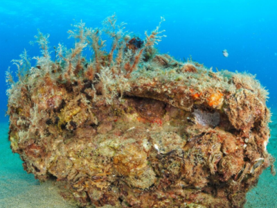 La Fundación Ona Futura cumple 5 años con el objetivo de invertir 5 millones hasta 2030 e iniciar su internacionalización