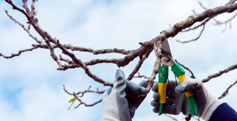 Principales técnicas de corte Principales técnicas de corte