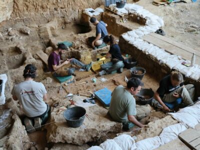 Los caballos más antiguos del linaje ibérico salen a la luz en las excavaciones de La Malia en Tamajón
