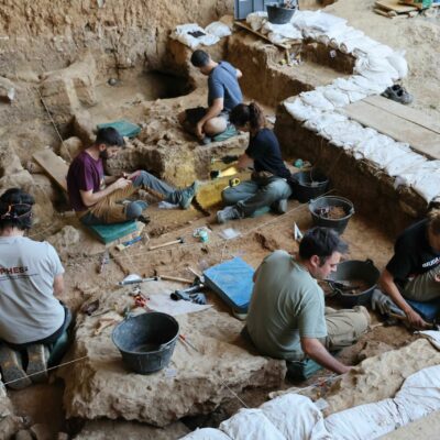 Los caballos más antiguos del linaje ibérico salen a la luz en las excavaciones de La Malia en Tamajón