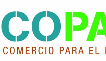 Más del 56% de España es bosque, pero su madera sigue desaprovechada