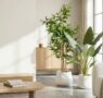 Tendencia: el auge de las plantas artificiales en interiores y exteriores