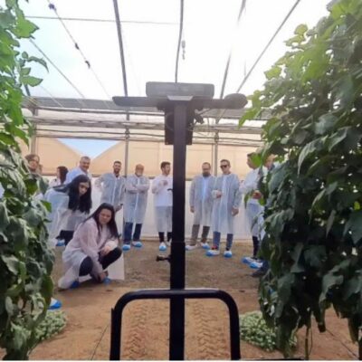 Cajamar Innova Agrotech lanza tres nuevos Retos Tecnológicos para impulsar la innovación en el sector agroalimentario