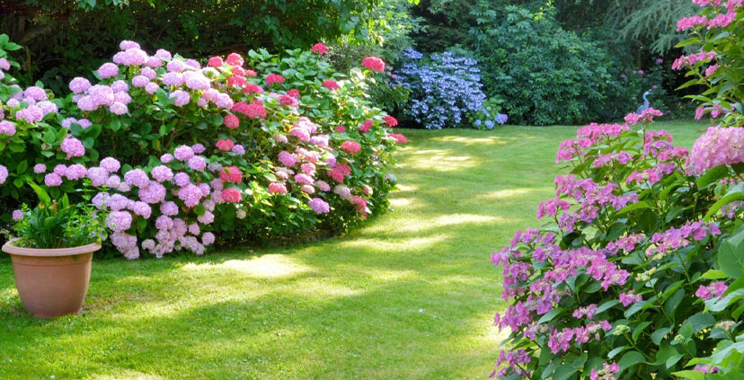 Jardinería a domicilio: beneficios, tareas y funcionamiento Jardinería a domicilio: beneficios, tareas y funcionamiento