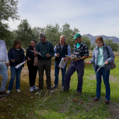 La Fundación PepsiCo lanza la segunda edición de VivaOliva para contribuir a la transformación del olivar de Jaén con agricultura regenerativa