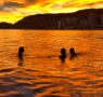Delfinautica impulsa en Alicante una escuela náutica de formación real, seguridad y experiencias en el mar