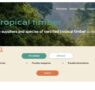 My Tropical Timber, plataforma de ATIBT para profesionales de madera tropical, logra un inicio prometedor