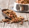 Revisión de 31 estudios concluye que los alimentos veganos para perros y gatos tienen buena digestibilidad