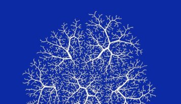 <div>Pere Colomer Domènech publica «Expediente Serotonina», un thriller psicológico y policial ambientado en Barcelona</div>