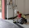 Los xilófagos lideran el ranking de plagas en Castilla y León, aunque las cucarachas ganan terreno en Burgos, Salamanca y Valladolid